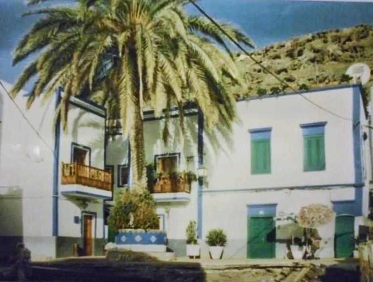 شقة The Palm House بويرتو دي موغان المظهر الخارجي الصورة